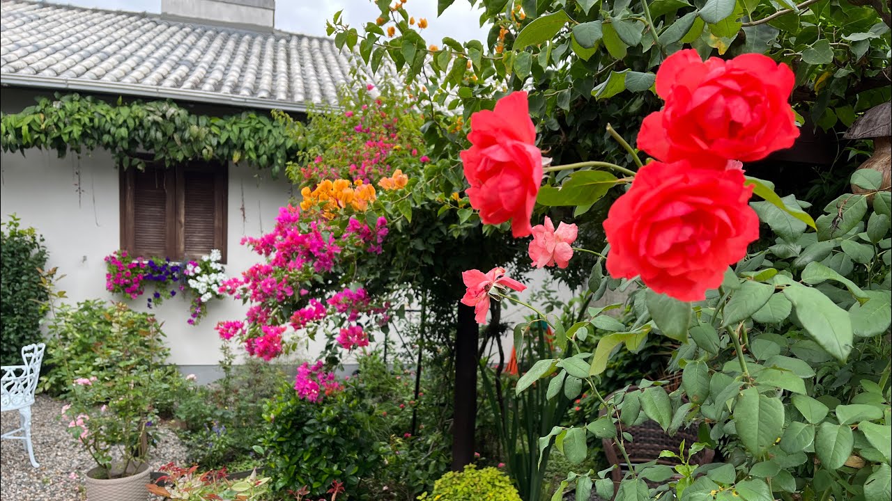 O JARDIM MAIS COLORIDO QUE VOCÊ JÁ VIU: SEGREDOS REVELADOS!