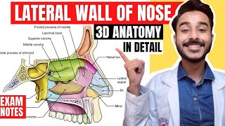 Lateral wall of nose anatomy | Lateral wall of nasal cavity anatomy
