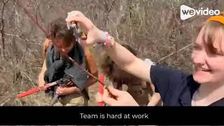 ESS Local Engagement Final - Video
