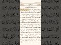سورة المزمل