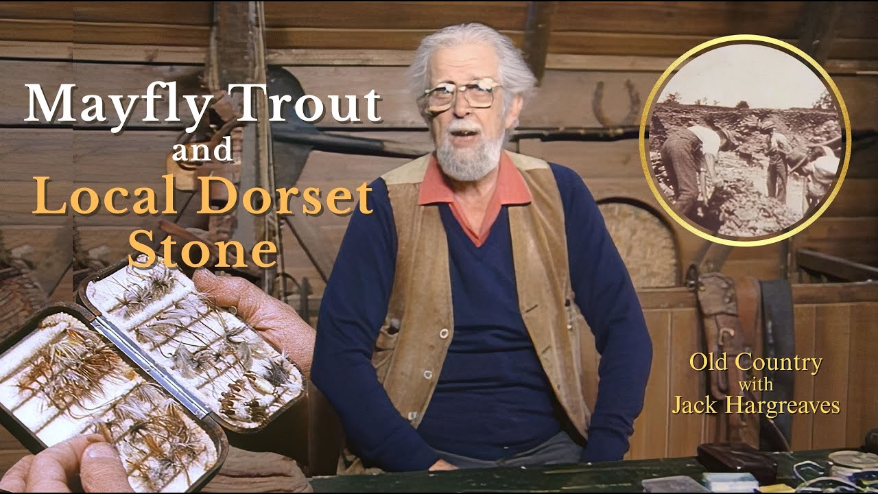 Uncovering Dorset's Ancient Secrets: A Journey Through Time