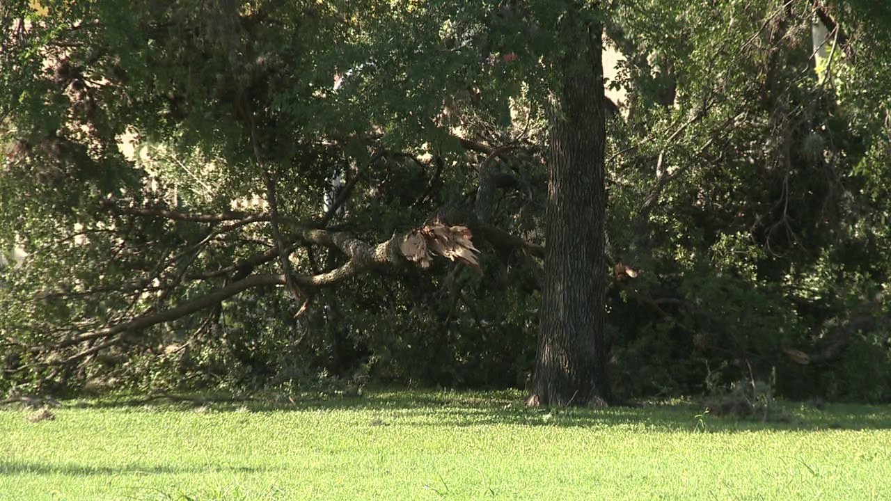 Residents and city crews clean up after storms - YouTube