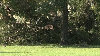 Residents and city crews clean up after storms