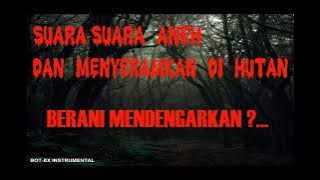 Suara-suara Aneh dan Menyeramkan di Hutan