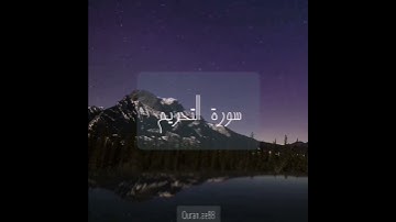 سورة : التحريم القارئ : بيشه وا قادر الكردي