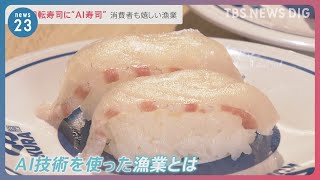 “極うまAI寿司”は「魚の食欲が分かる」最新AI技術で作られていた　24時間魚を観察　満プク魚にはエサを与えない！？ “次世代AI漁業”の秘密とは…【news23】｜TBS NEWS DIG