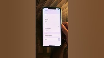 Trillen voor tekstmeldingen op de iPhone in- of uitschakelen