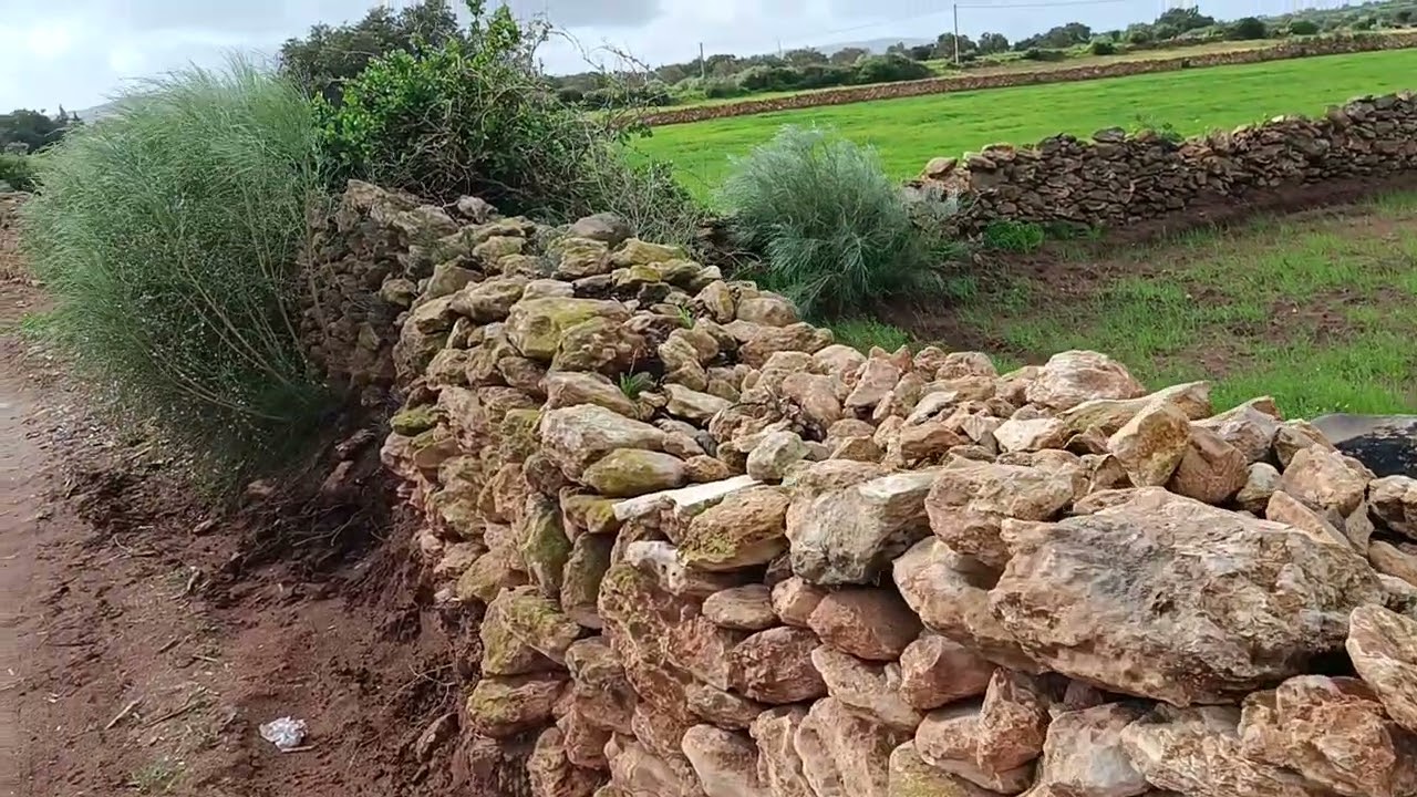 اجواء في البادية 