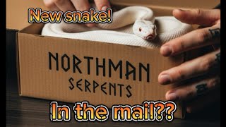 Celebrity Anxious about ordering a snake online? It’s easier than you think!  Net Worth