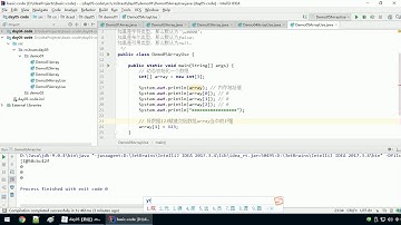 Java语法 083 访问数组元素进行赋值