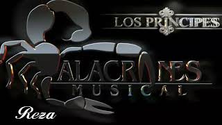 Alacranes Musical - Reza