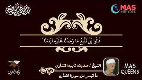 الشيخ صديق تايب المنشاوي وما تيسر من سورة لقمان