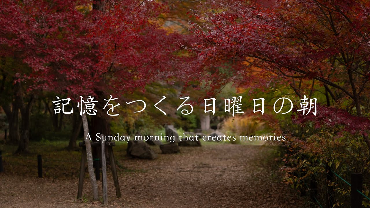 【記憶をつくる日曜日の朝】埼玉嵐山渓谷