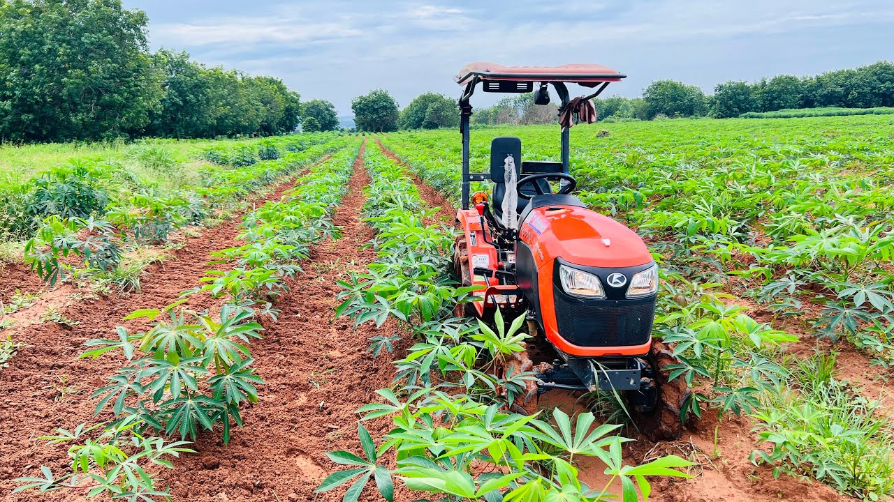 B2104 จอบหมุน ปั้นร่องมัน กำจัดหญ้าดีมาก Tractor