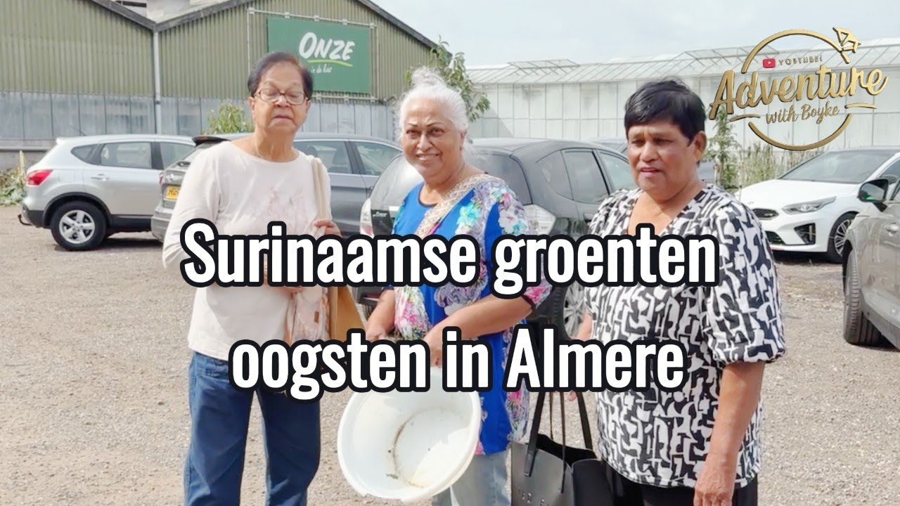 Surinaamse groenten oogsten in Almere is ZO Leuk!