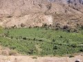 اللي يعزك مايشوف الردى فيك ومن يكرهك حتى بخيرك يذمك