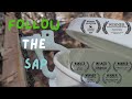 Follow The Sap - How Birch Syrup is Made