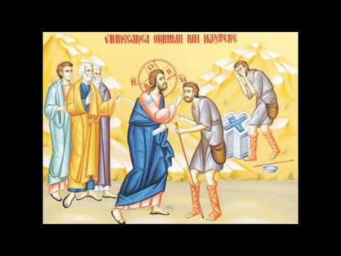 PF Daniel -  Vindecarea orbului din nastere