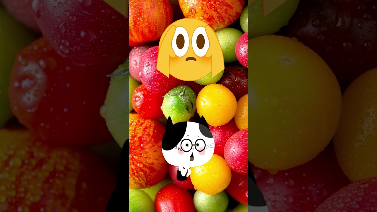 Fruit vs Vegetable 🥦🍓 What’s the Difference? Learn with Luna the Magical Pup! 