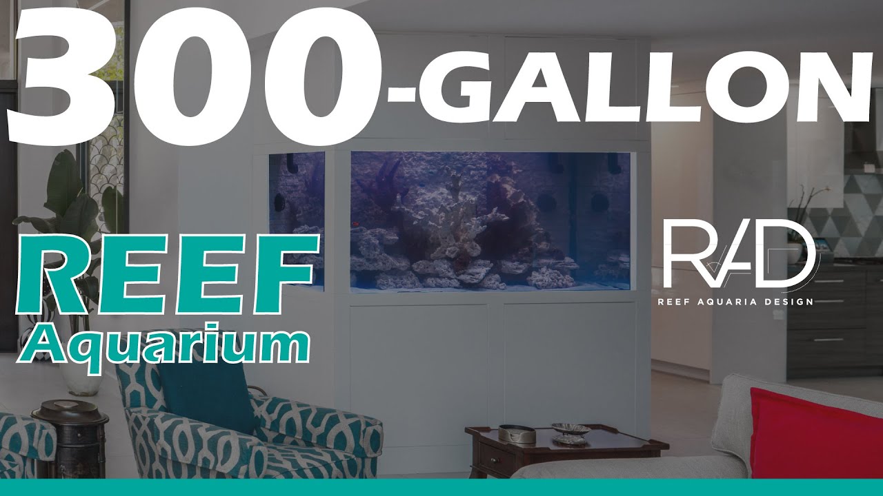 300GALLON CUSTOMMADE LIVE REEF AQUARIUM IN FORT LAUDERDALE, FLORIDA
