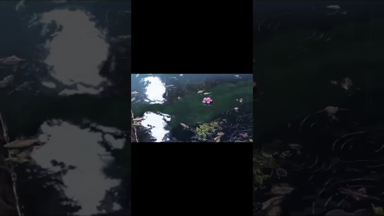 garden of words,rainy season vibe[amv/edit]