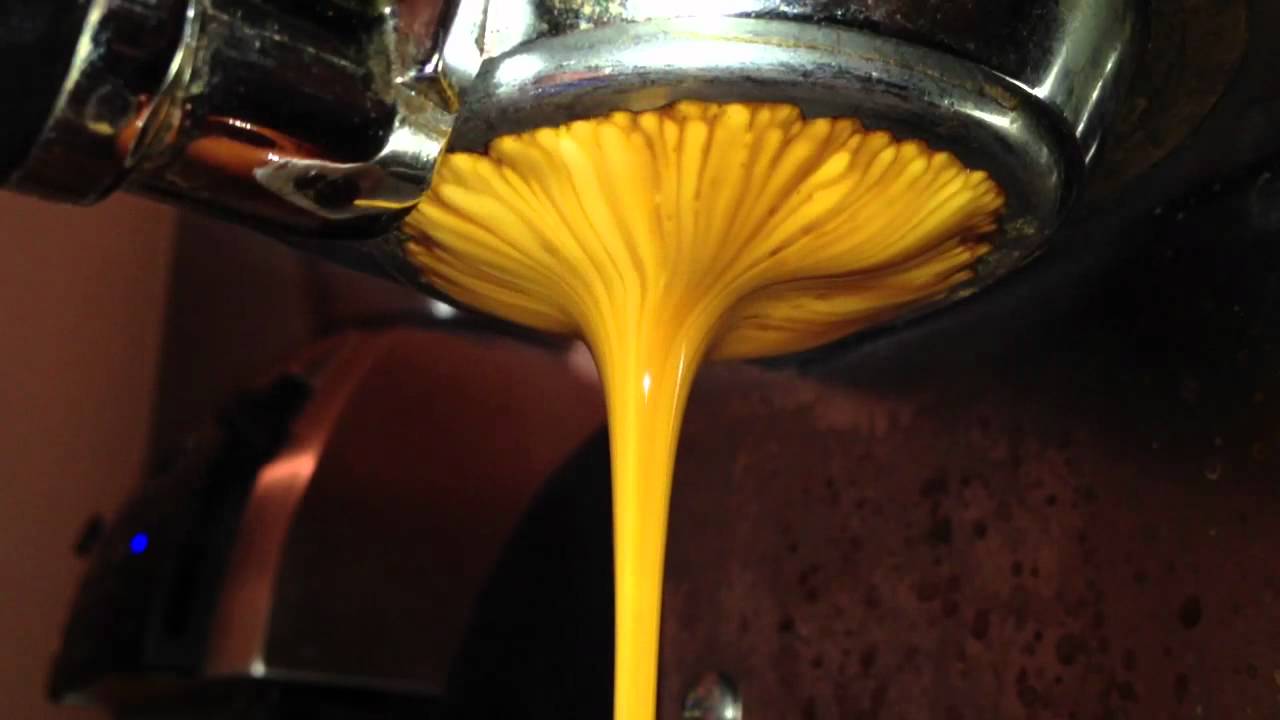 Verve - elida estate