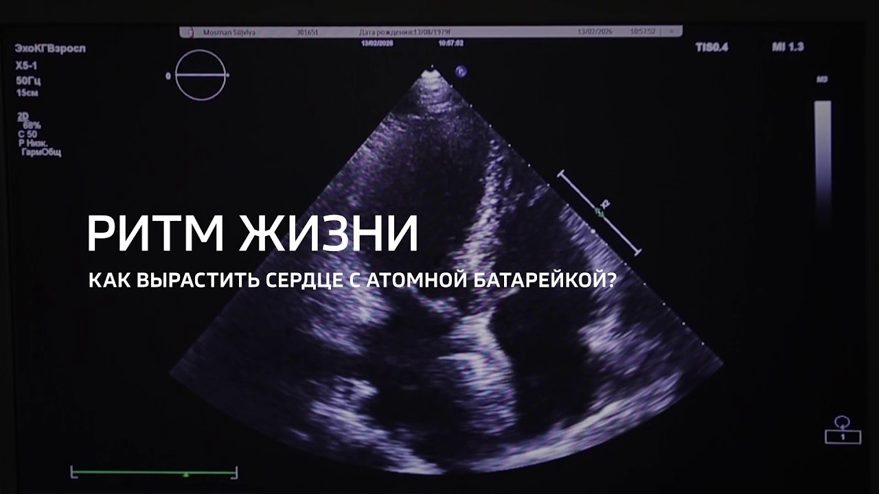 Ритм сердца. Как вырастить сердце с атомной батарейкой?