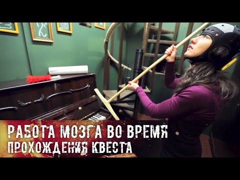 Работа мозга во время прохождения квеста