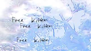 VOIID - &#39;Free Kitten&#39; (Official Audio)
