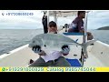 Dr Mohan Rao sir beautiful fishing. catching big size GT