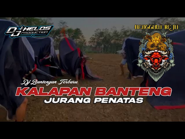 DJ Bantengan Kalapan Jurang Penatas BENGGOLO REJO Terbaru class=