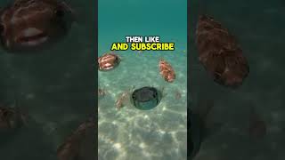 Run If You See This 😨