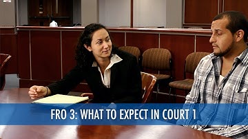 What to Expect in Court 1 of 2 (Final Restraining Order 3/7)