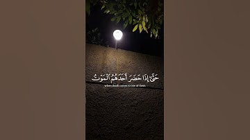 #سورة_النساء #سوره_النساء #ياسر_الدوسري_ #ياسر_الدوسرى #ياسر_الدوسري ذ#الشيخ_ياسر_الدوسرى #الشيخء