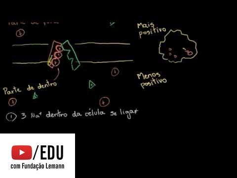 Vídeo: Por que a bomba de sódio e potássio é considerada um transporte ativo em que direção o sódio e o potássio estão sendo bombeados?