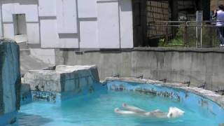 重たい浮き輪