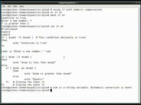bash - using if with numeric values