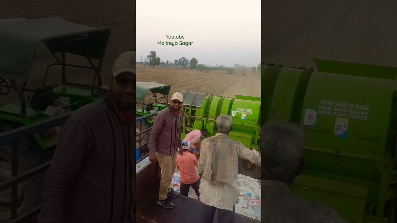 Tur Arhar Harvesting | Sarpanch Hadamba Thresher | 