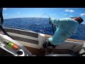 Non stop Dogtooth tuna vs Daiwa Saltiga 10000h plus ripple fisher selfish ns 614. (Feat. Doggie won)