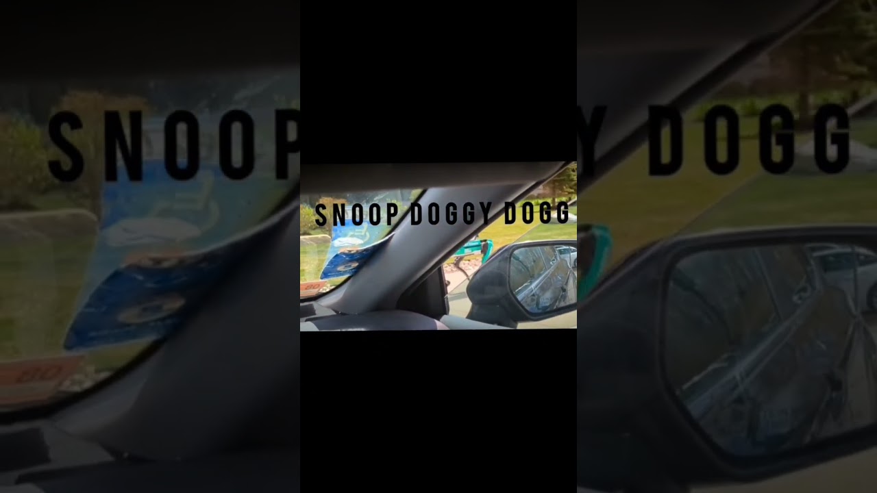 "Snitch" Robot 🤖 Dog... 🤣 #shorts #robot #robotics #viral