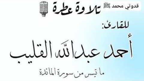 تحبير للقارئ أحمد عبدالله القليب🎙| ما تيسر من سورة المائدة