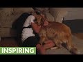 Dogs Reuniting With Their Owners | Compilation 2019