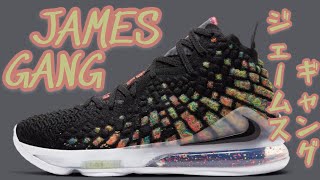 Nike LeBron 17 James Gang レブロン 17 ジェームス・ギャング NIKE LEBRON 17 JAMES GANG REVIEW・ナイキ レブロン 17