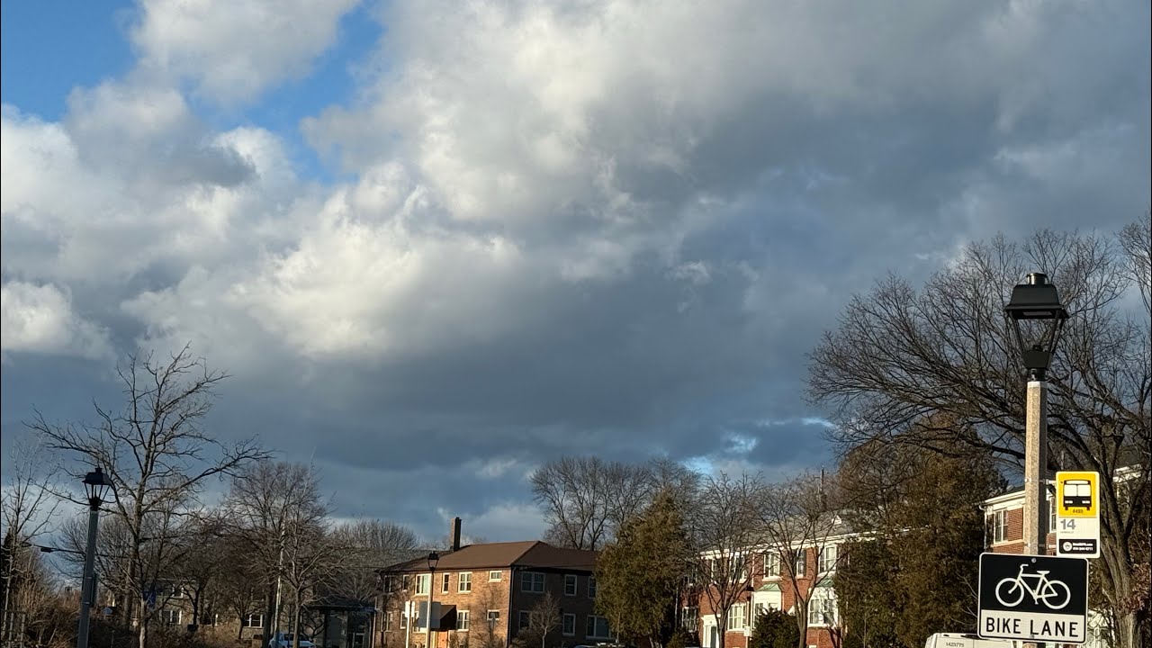 Summer Or Spring Weather In January! 