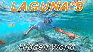 The Secret Side of Laguna Beach | Snorkeling to Hidden Beaches and Reefs Few Ever See 