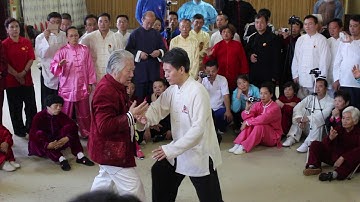 Beginners Push Hands Great Master Fu Sheng Yuan