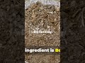 watch full video to get the full scope #naturalfertilizer  #soilhealth,#gardeninghacks