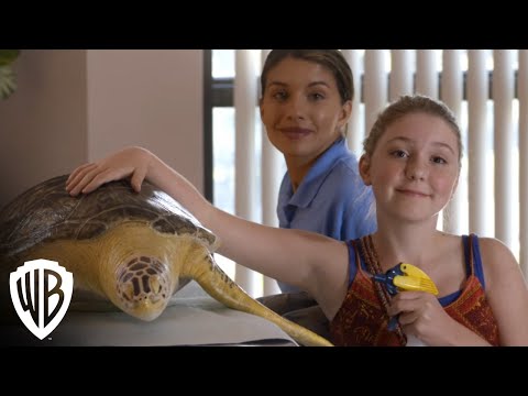 Dolphin Tale 2 | Meet The Animals | Warner Bros. Entertainment
