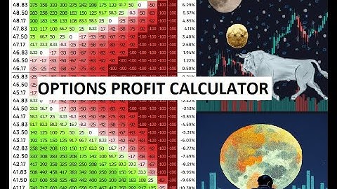 Options Profit Calculator (Calls, Puts, Call Credit Spreads and Put Credit Spreads) For Beginners