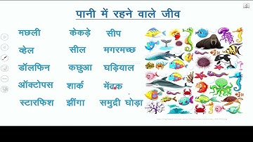 कक्षा -3, पर्यावरण अध्ययन (आस पास ), पाठ-1, डाल डाल पर ताल ताल पर